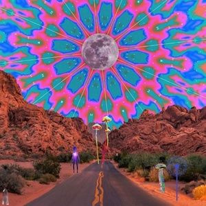 Meet your Posher, Marlene